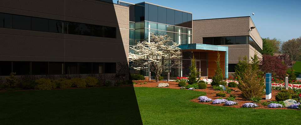 Carson City Landscapers