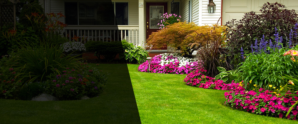 Carson City Landscapers