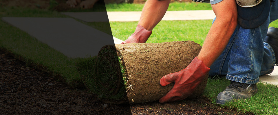 Carson City Landscapers